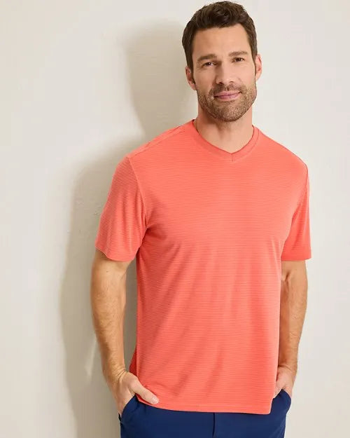 Bay Stripe V-Neck T-Shirt