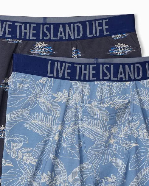 Cotton-Modal Boxer Briefs - 2-Pack