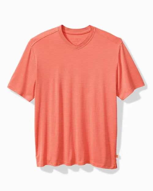 Bay Stripe V-Neck T-Shirt