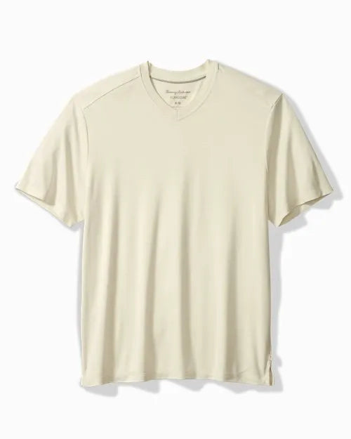 Bay Stripe V-Neck T-Shirt