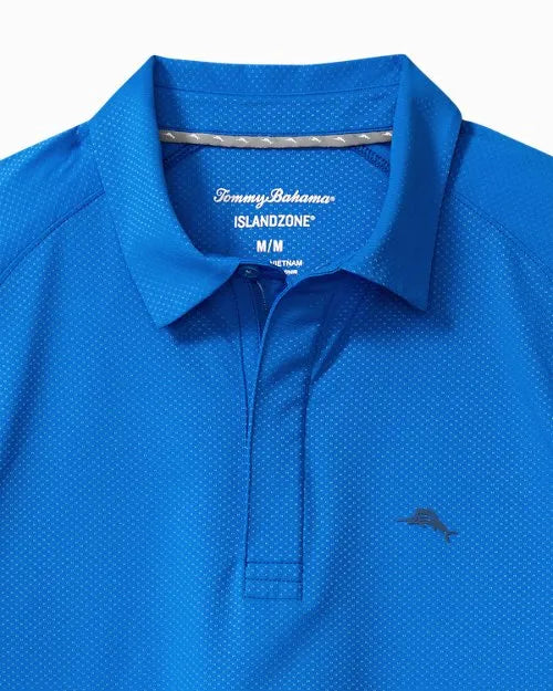 Palm Desert Tides Polo