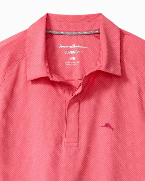 Palm Desert Tides Polo