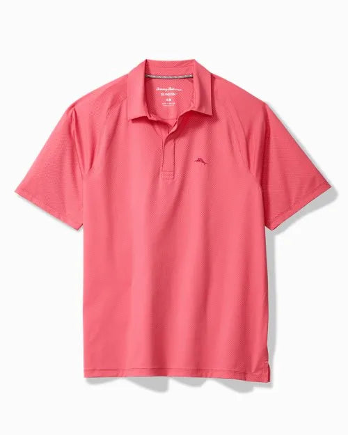 Palm Desert Tides Polo